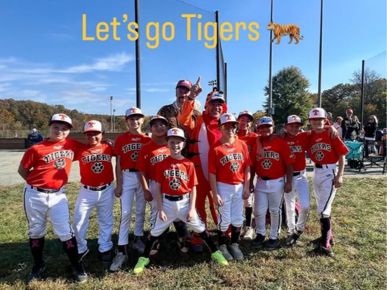 Rawlings Tigers NOVA 10U news image