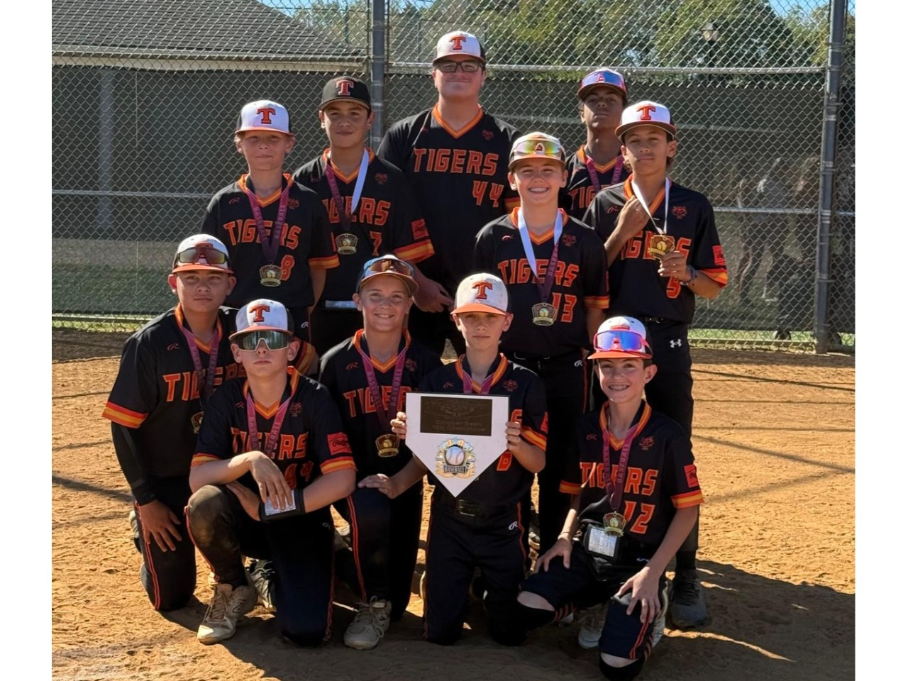 Rawlings Tigers NOVA 13U Black news image